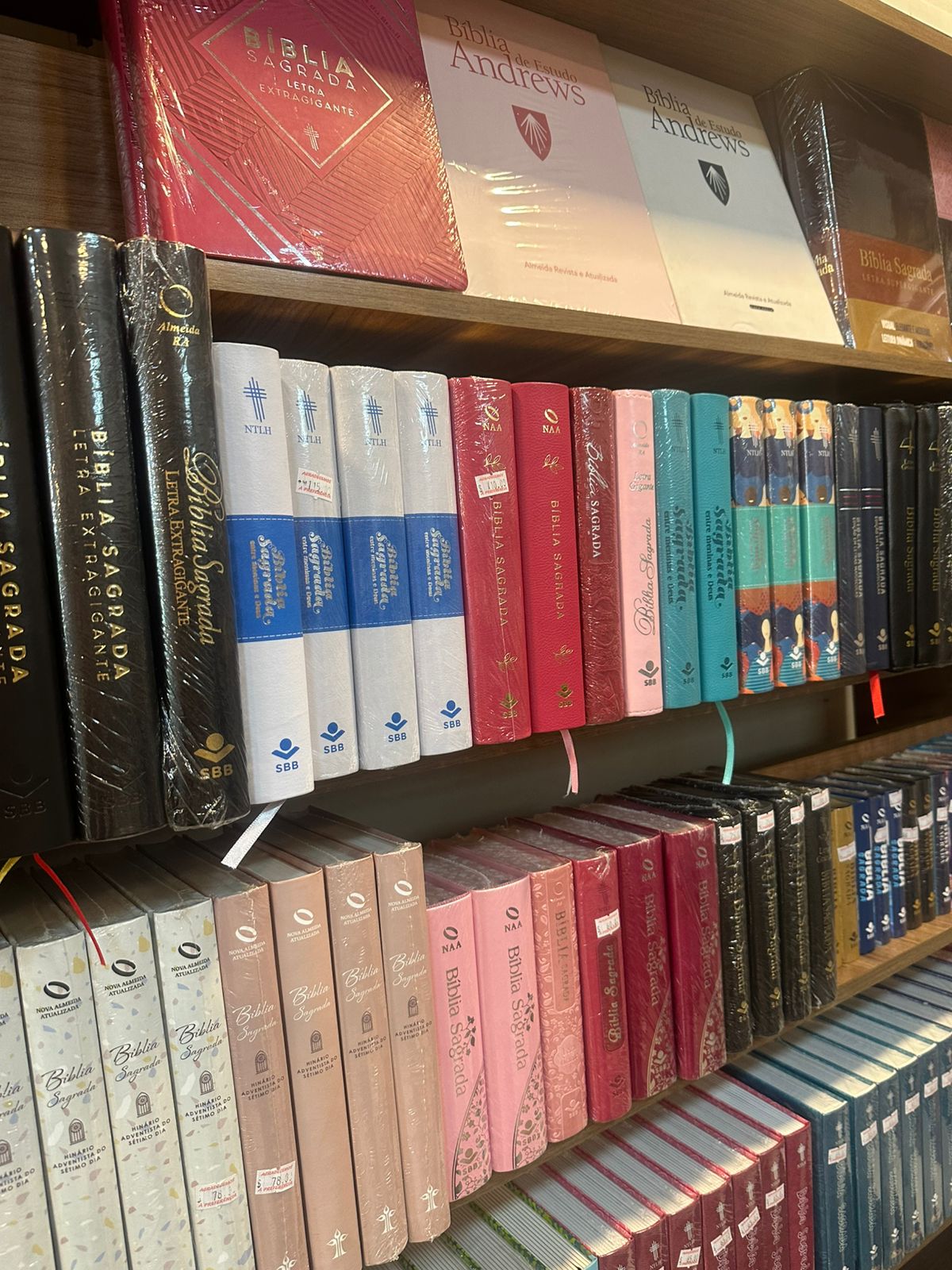 Bíblias e lições